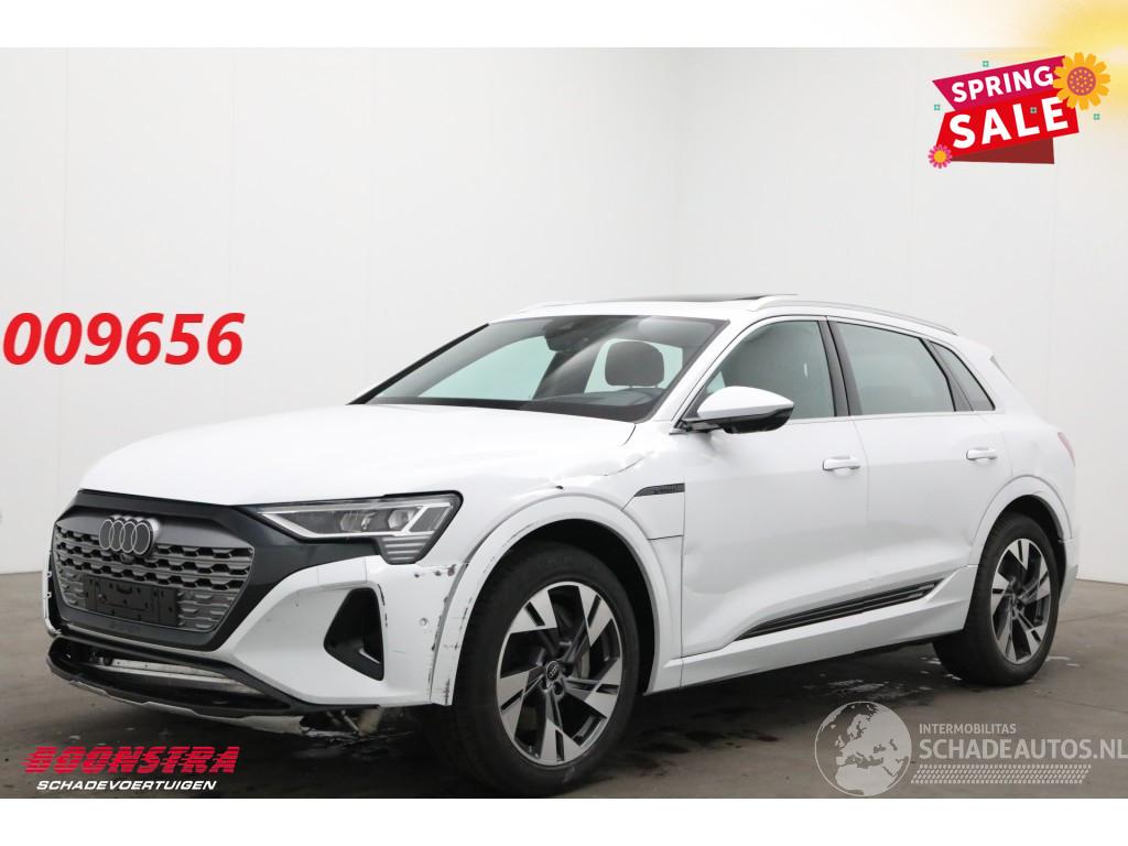 Audi Q8 55 quattro Advanced 115 kWh Pano LED ACC B&O HUD Memory 360°