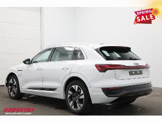 Audi Q8 55 quattro Advanced 115 kWh Pano LED ACC B&O HUD Memory 360° picture 4