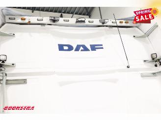 DAF XG + 480 FT LED ACC Alcoa picture 20
