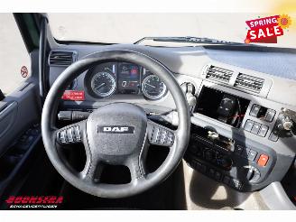 DAF CF 260 FA Aut. Koffer Dhollandia Euro 6 picture 16