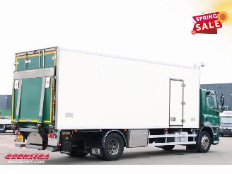 DAF CF 250 FA Aut. Kuhler Carrier Syberia Dhollandia Euro 6 picture 3