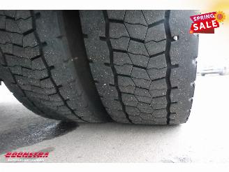 DAF CF 250 FA Aut. Kuhler Carrier Syberia Dhollandia Euro 6 picture 31