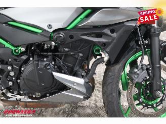 Kawasaki  Z500 SE ABS LED picture 10
