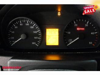 Mercedes Sprinter 516 CDI 7G-Tronic LBW Bak-Klep Airco Cruise Dhollandia picture 19
