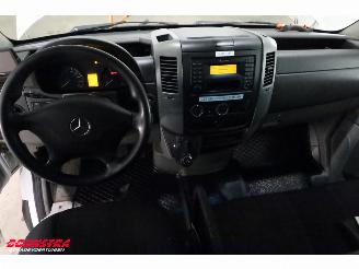 Mercedes Sprinter 516 CDI 7G-Tronic LBW Bak-Klep Airco Cruise Dhollandia picture 15