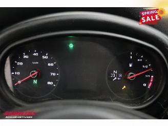 Aixam  D-Truck M12RS 400 Laadbak Radio picture 12