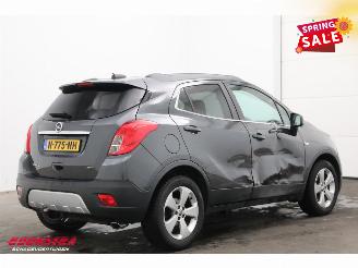 Opel Mokka 1.6 CDTi Aut. Cosmo Leder Navi Clima Cruise Camera LRHZ SHZ AHK picture 3