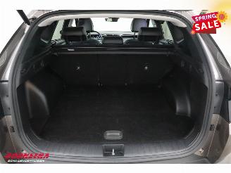 Hyundai Tucson 1.6 T-GDI HEV Premium Sky Pano LED ACC Memory 360° Ventilatie LRHZ picture 35