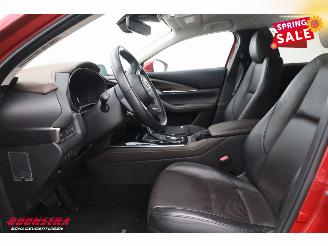 Mazda CX-30 2.0 e-SkyActiv-X M Hybrid Luxury LED ACC Bose Memory LRHZ AHK picture 10