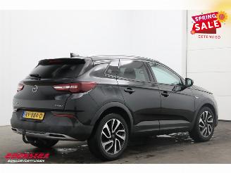 Opel Grandland 1.2 Turbo Aut. Business Executive LED Apple/Android 360° Cruise AHK picture 3