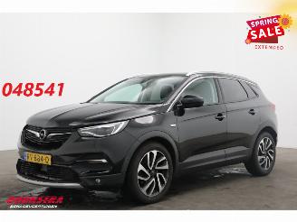 Opel Grandland 1.2 Turbo Aut. Business Executive LED Apple/Android 360° Cruise AHK picture 1