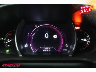 Renault Mégane 1.3 TCe Bose LED HUD Navi Clima Cruise Camera PDC picture 25