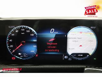 Mercedes EQB 250 Luxury Line 67 kWh Leder Navi Clima Cruise Camera SHZ picture 19