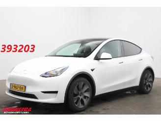 Avarii autoturisme Tesla Model Y RWD 58 kWh Pano LED ACC Camera LRHZ SHZ AHK 2024/3
