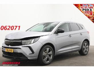 uszkodzony samochody osobowe Opel Grandland 1.2 Turbo Edition Apple/Android Virtual Cruise LRHZ SHZ AHK 2024/3
