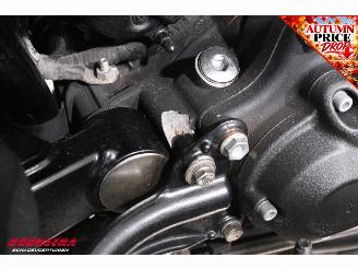 Harley-Davidson  FXDF Dyna Fat Bob picture 16