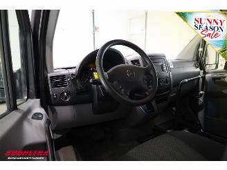 Mercedes Sprinter 313 CDI Aut. Flex-i-trans Behindertengerecht Airco Cruise picture 22