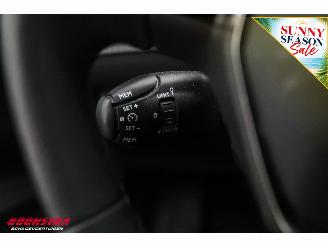 Peugeot e-208 EV Active Pack 50 kWh Cruise Clima Apple/Android SHZ PDC picture 23