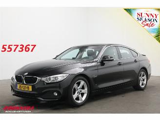 Auto incidentate BMW 4-serie Gran Coupé 418i Aut. Centennial Executive Cruise Navi Clima PDC AHK 2016/6