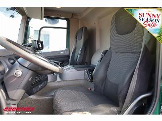 DAF CF 290 Kuhlkoffer Thermo King SLXe Spectrum Dhollandia 4X2 Euro 6 picture 32
