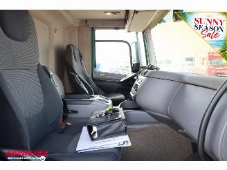DAF CF 290 Kuhlkoffer Thermo King SLXe Spectrum Dhollandia 4X2 Euro 6 picture 21