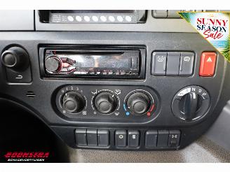 DAF CF 290 Kuhlkoffer Thermo King SLXe Spectrum Dhollandia 4X2 Euro 6 picture 23