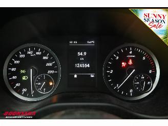 Mercedes Vito 110 CDI Functional Lang LED Cruise Airco Apple/Android DAB Camera PDC picture 22