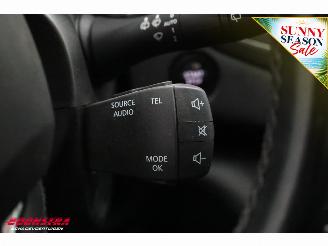 Renault Mégane 1.2 TCe Bose Cruise Navi Clima PDC picture 16