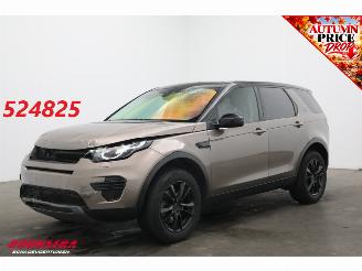 Avarii autoturisme Land Rover Discovery Sport 2.2 TD4 Aut. Unfall 4WD SE Cruise Navi Clima PDC 2015/5