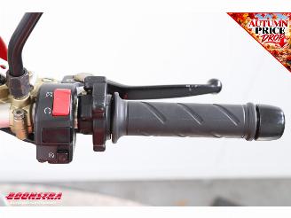 Ducati  Monster S4R Termignoni picture 15