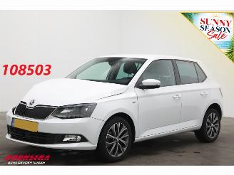 Damaged car Skoda Fabia 1.0 TSI Drive Navi Clima Cruise PDC 80.188 km! 2018/12