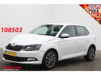 Schadeauto Skoda Fabia 1.0 TSI Drive Navi Clima Cruise PDC 80.188 km! 2018/12