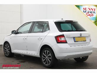 Skoda Fabia 1.0 TSI Drive Navi Clima Cruise PDC 80.188 km! picture 4