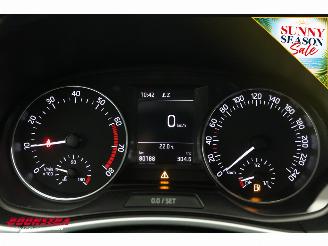 Skoda Fabia 1.0 TSI Drive Navi Clima Cruise PDC 80.188 km! picture 20