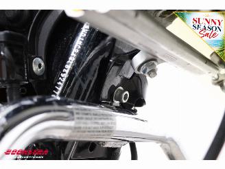 Harley-Davidson  Freewheeler 5HD! ABS LED Cruise 16.731 km! picture 11