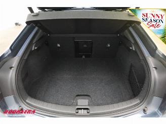 Polestar 2 Standard Range Single Motor 69 kWh Pano Cruise Navi Clima Virtual Apple/Android Memory SHZ LrHZ Camera PDC picture 38