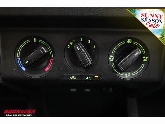 Skoda Fabia Combi 1.4 TDI DSG Ambition Business Navi Cruise Airco Bluetooth PDC picture 26