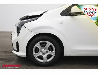 Kia Picanto 1.0 DPI DynamicLine 5p. ACC Navi Clima Bluetooth Camera PDC picture 12