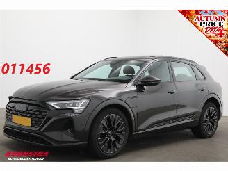 Unfallwagen Audi Q8 50 quattro Advanced 95 kWh B&O Pano ACC Leder Memory SHZ Apple/Android Virtual Camera PDC 2023/4
