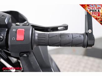 Kawasaki Ninja 650 ABS Arrow picture 18