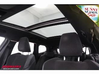 BMW iX1 eDrive20 67 kWh M Sport Pano ACC Navi Clima SHZ Apple/Android Camera PDC AHK picture 21
