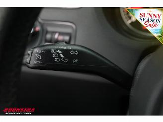 Volkswagen Polo 1.4 TSI DSG BlueGT 5-drs Cruise Navi Clima PDC picture 22