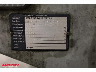 Hapert  Azure H2 605x200 3500kg Tandemasser BY 2022 picture 13