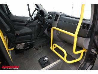 Volkswagen Crafter 2.0 TDI Tribus L3-H2 9-Pers. Behindertengerecht Cruise Airco picture 12