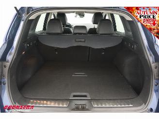 Renault Kadjar 1.2 TCe Aut. Intens Cruise Navi Clima Camera PDC AHK picture 24