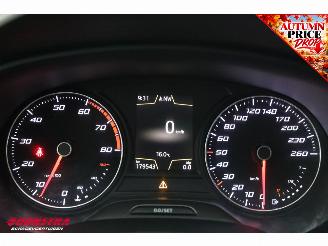 Seat Leon ST 1.4 EcoTSI FR Connect Pano Cruise Navi Clima Apple/Android PDC AHK picture 24