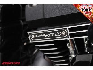 Harley-Davidson  FXDLS FXDLS Dyna Low Rider 110 Screaming Eagle ABS LED Cruise picture 15