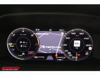 Cupra Formentor 1.4 e-Hybrid VZ Performance Pano AHK Camera SHZ LrHZ LED picture 22