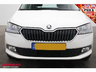 Skoda Fabia Combi 1.0 TSI Ambition ACC Navi Apple/Android PDC AHK Airco picture 10