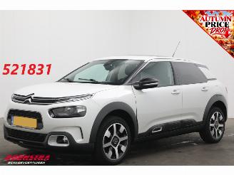 krockskadad bil auto Citroën C4 cactus 1.2 PureTech Shine Aut. Pano Camera AHK Clima Navi LED 2019/6